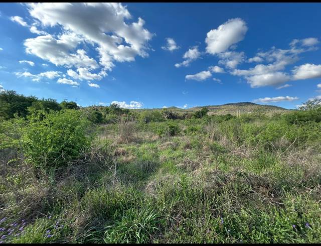 FARM FOR SALE IN SCHURVEBERG AH